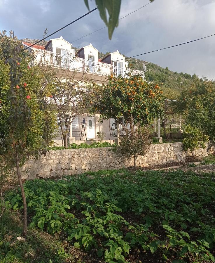 Apartmán Lucija With Sea View