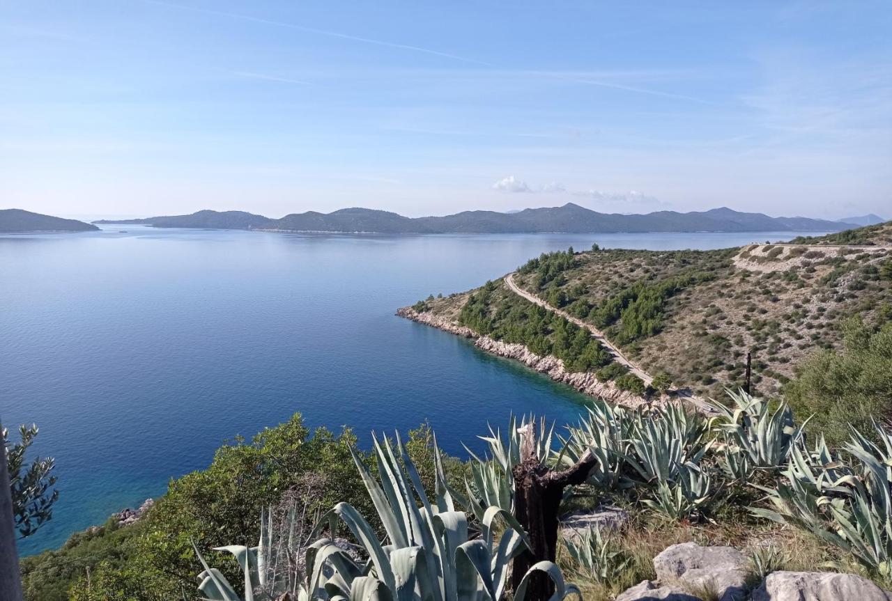 Lucija With Sea View
